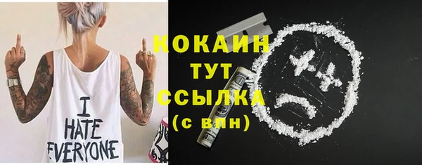 гашиш Богданович