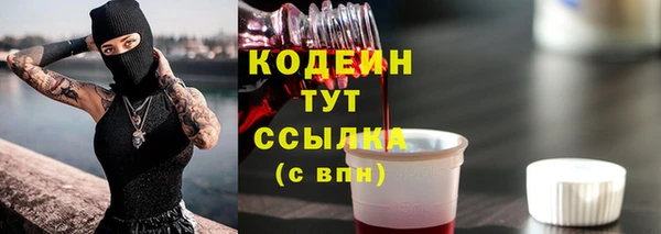гашиш Богданович