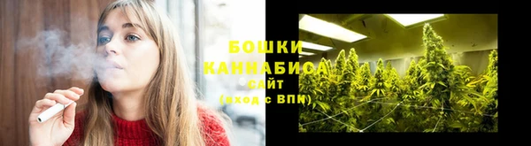 гашиш Богданович