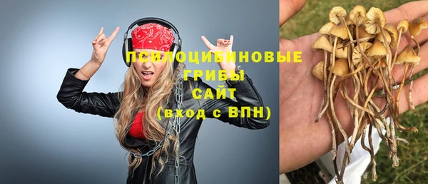 наркотики Богородицк