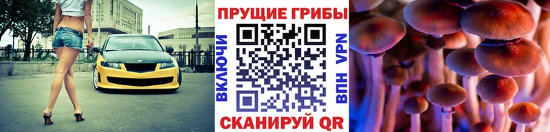 Псилоцибиновые грибы Psilocybe  Новохопёрск 